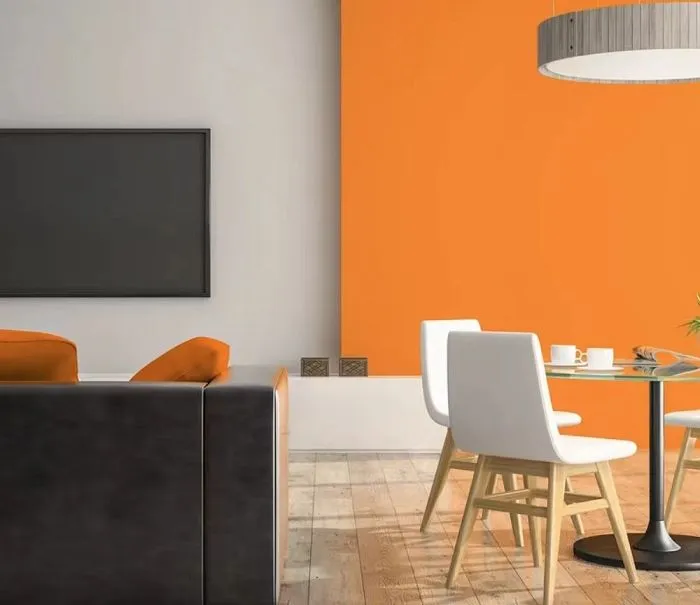 Acrylic Powder For Wall Putty